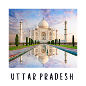 UttarPradesh - Sarkari Results 24x7